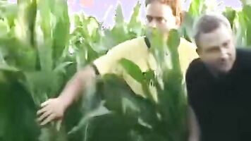 Girl can be seen getting forced to take part in all sorts of hot activities, from anal to blowjob, sucking off a cock or dick.